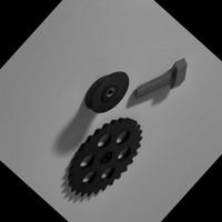 Dataset Image