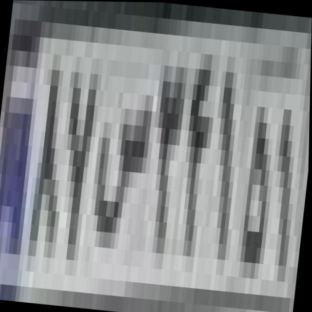 Dataset Image