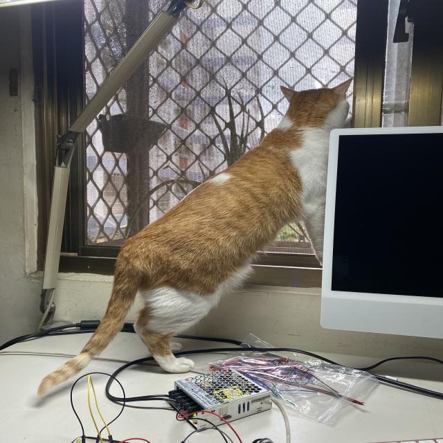 Dataset Image