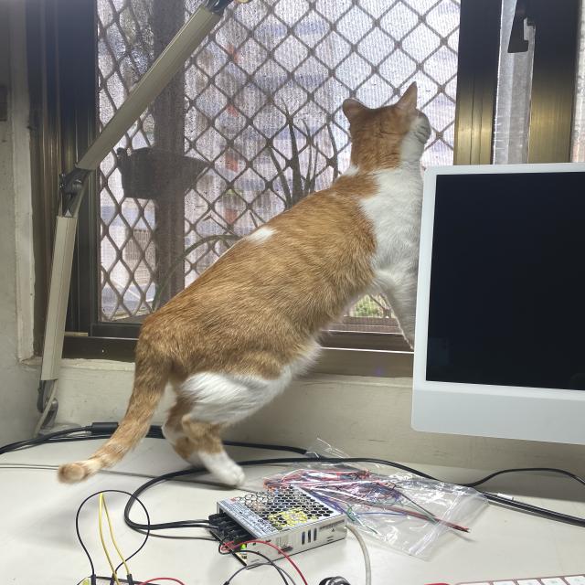 Dataset Image