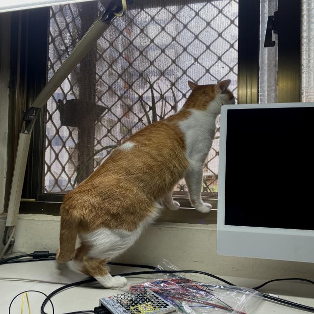 Dataset Image