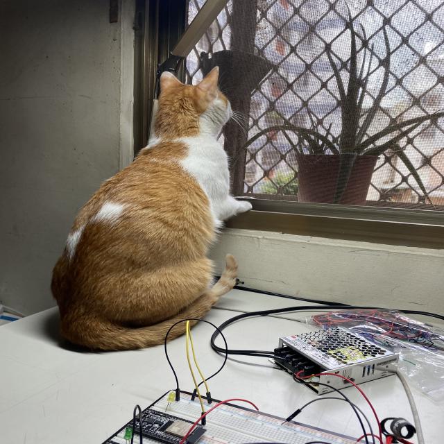 Dataset Image