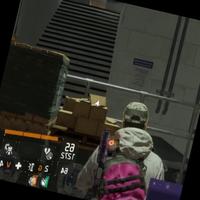 Dataset Image