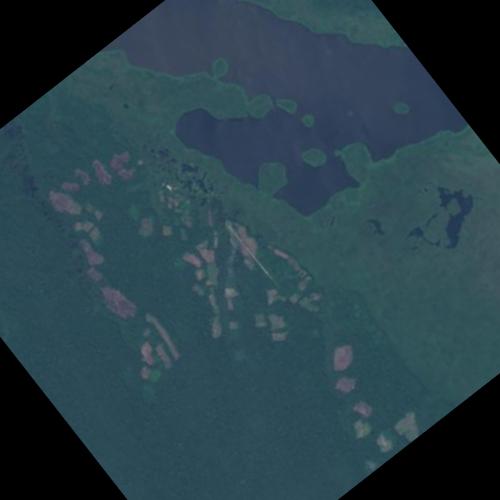 Dataset Image