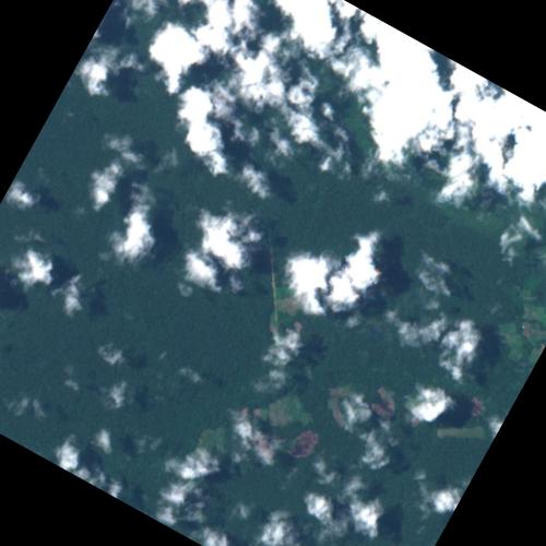 Dataset Image