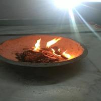 Dataset Image