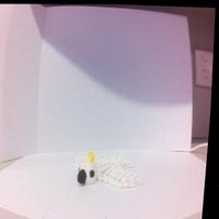 Dataset Image