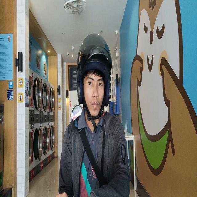 Dataset Image