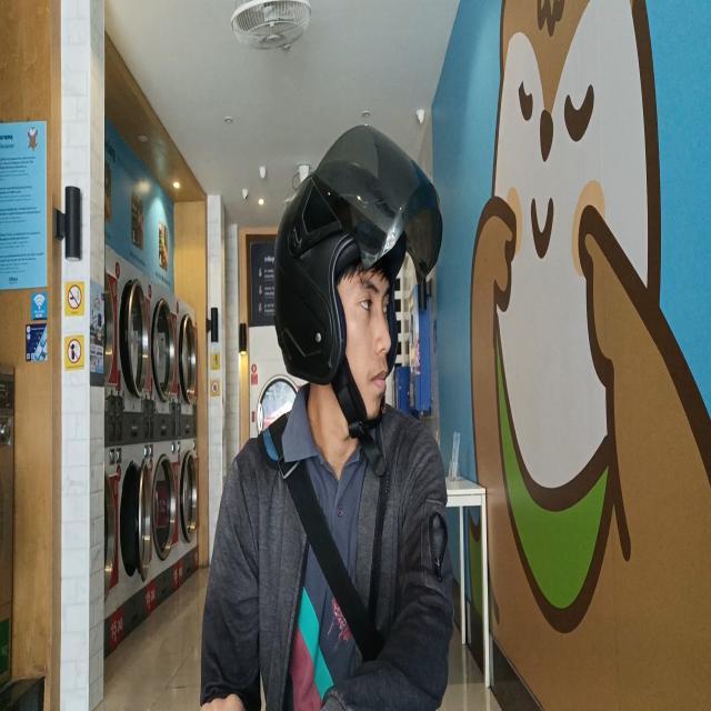 Dataset Image