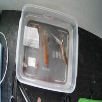 Dataset Image
