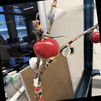 Dataset Image