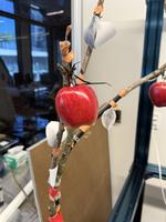 Dataset Image