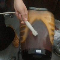 Dataset Image