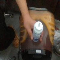 Dataset Image