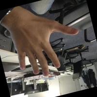 Dataset Image