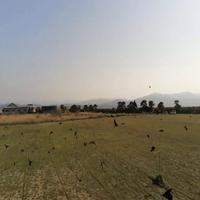 Dataset Image