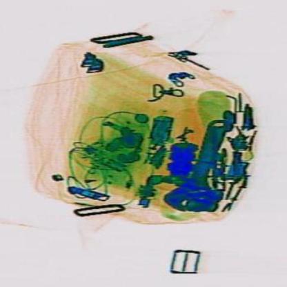 Dataset Image