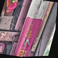 Dataset Image