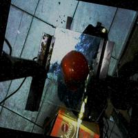 Dataset Image