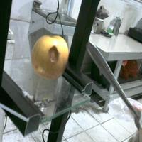Dataset Image