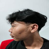 Dataset Image
