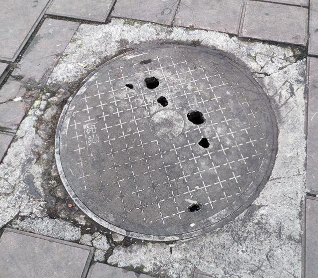 Dataset Image