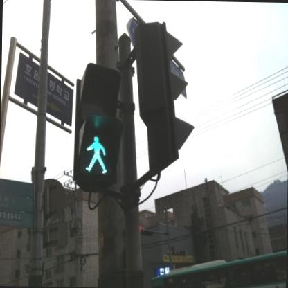 Dataset Image