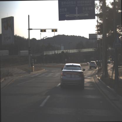 Dataset Image