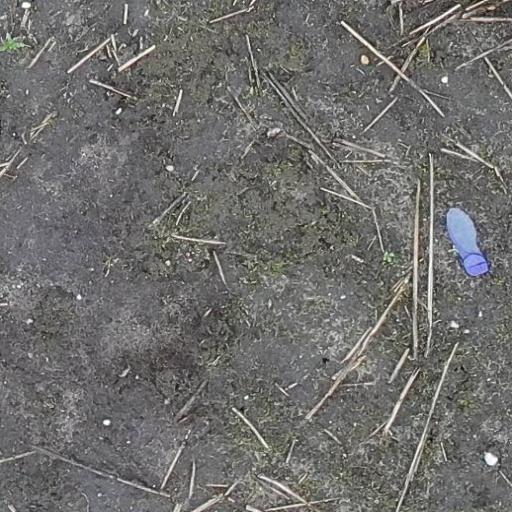 Dataset Image