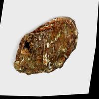 Dataset Image