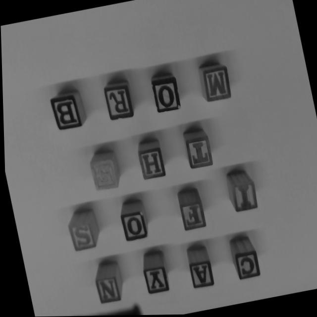 Dataset Image