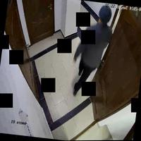 Dataset Image