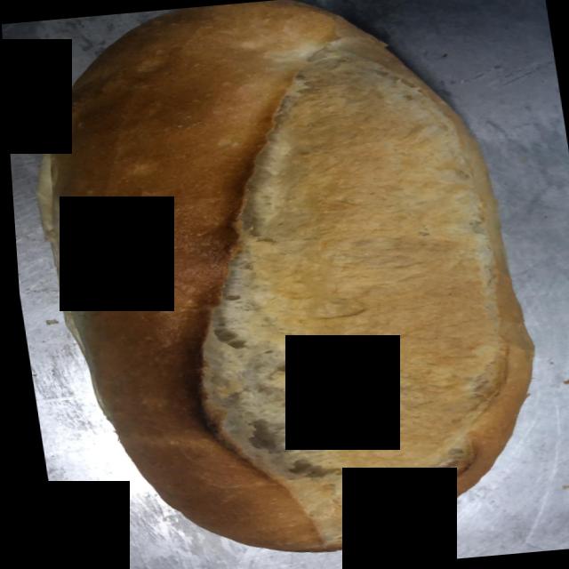 Dataset Image