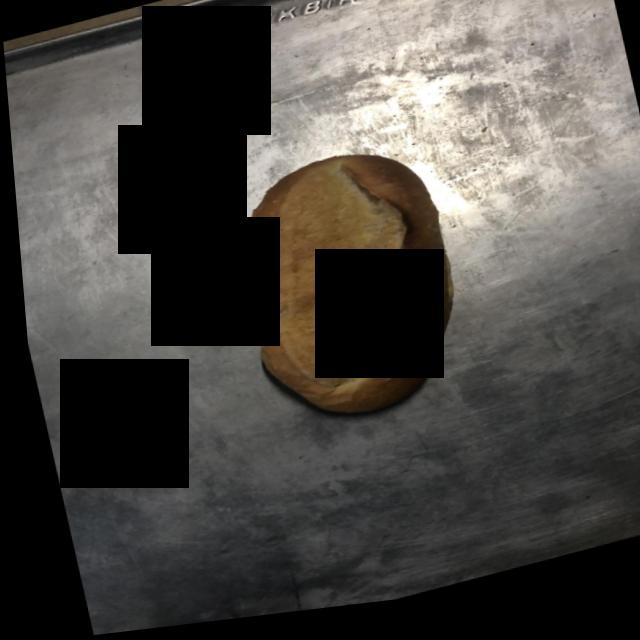 Dataset Image
