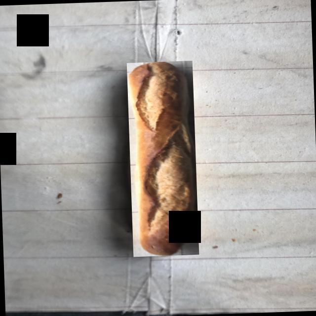 Dataset Image