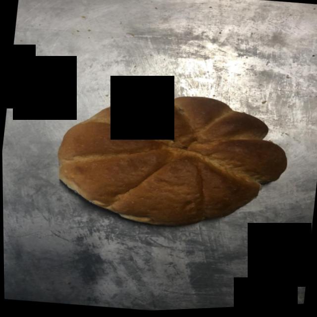 Dataset Image