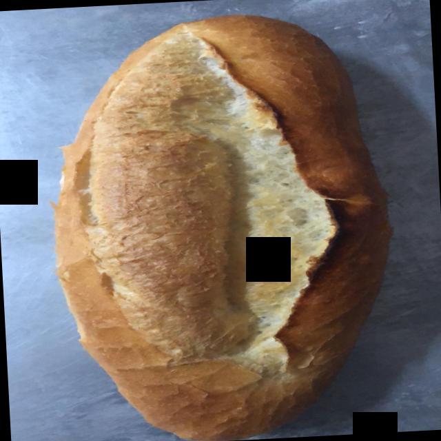 Dataset Image