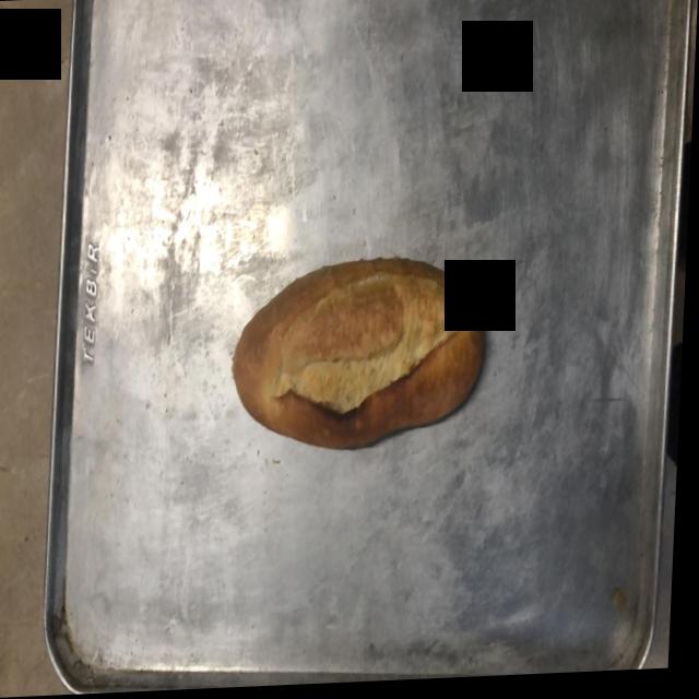 Dataset Image