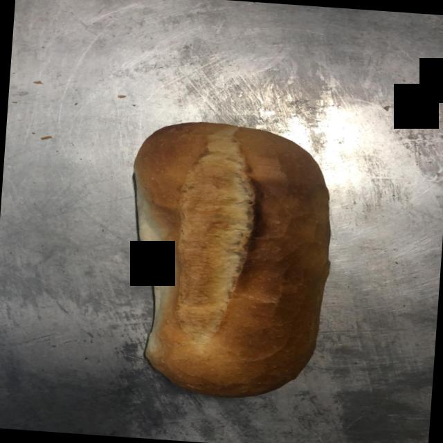 Dataset Image