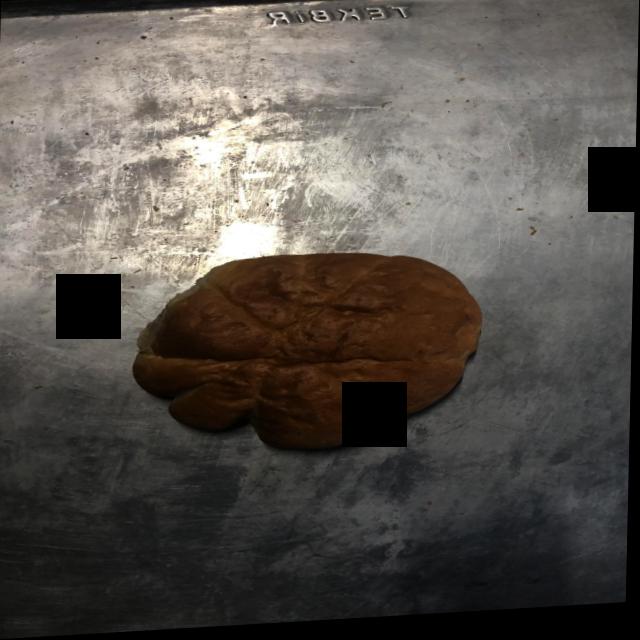 Dataset Image
