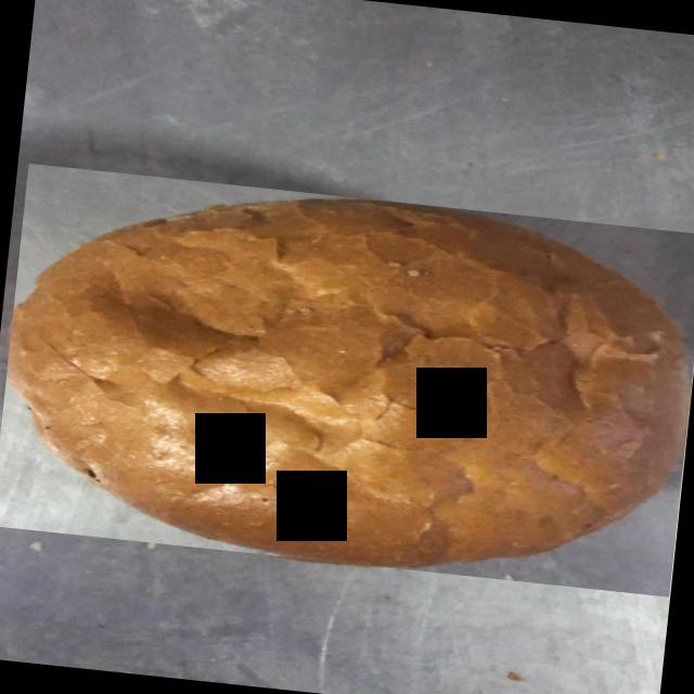 Dataset Image