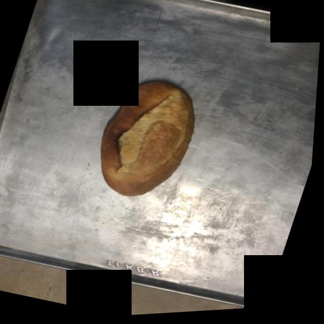 Dataset Image