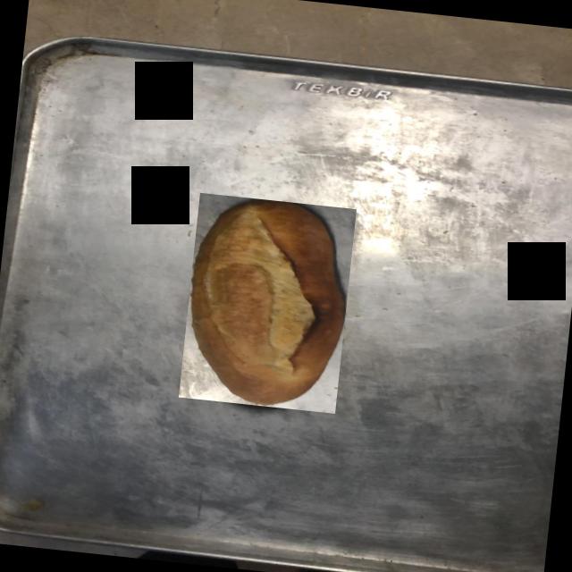 Dataset Image