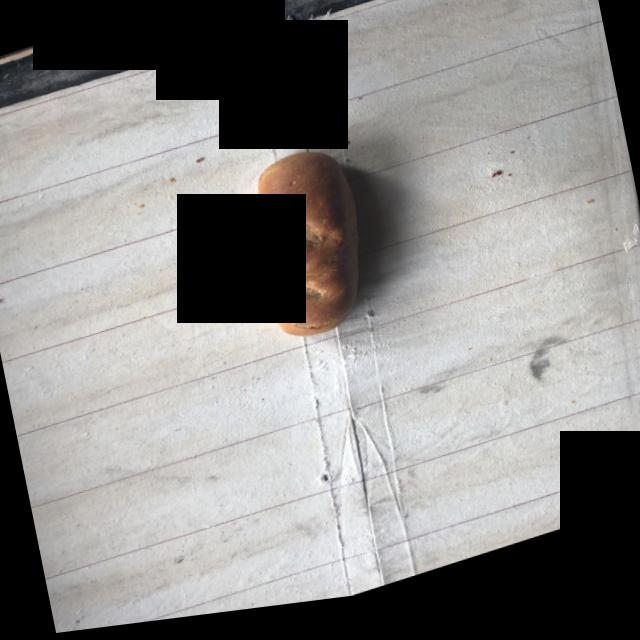 Dataset Image