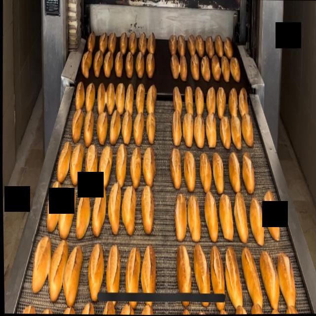 Dataset Image