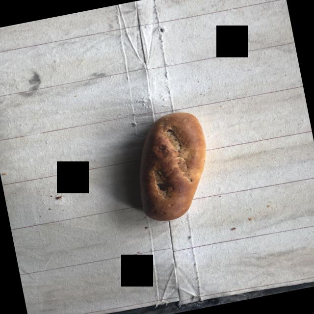 Dataset Image