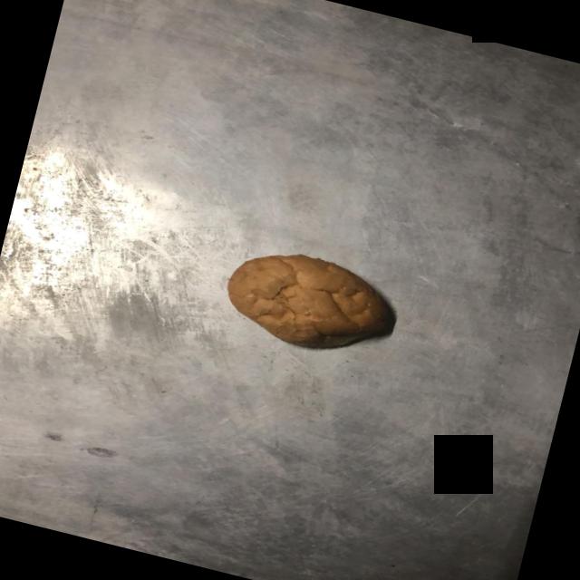 Dataset Image