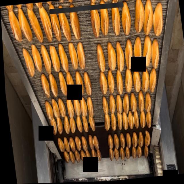 Dataset Image