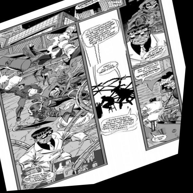 Dataset Image