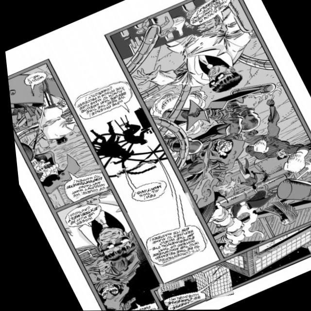 Dataset Image